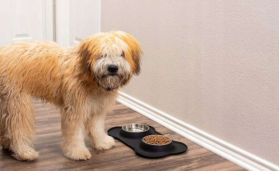 Podwójna miska metalowa dla psa i kota 45x25 cm