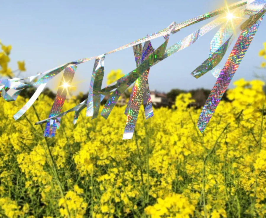 Odstraszasz ptaków kruk solar taśma