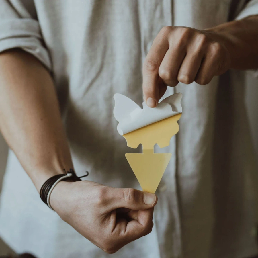 Lep na owady do roślin 12 szt