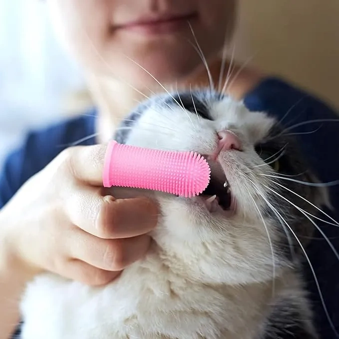 Silikonowa szczoteczka do mycia zębów dla psa i kota