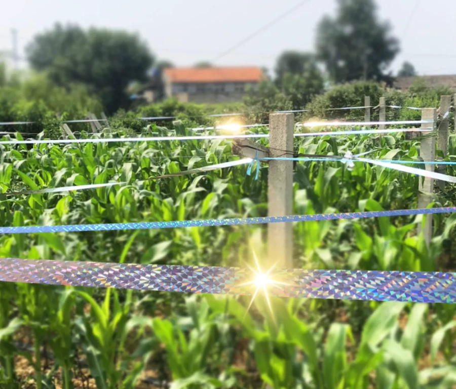 Odstraszasz ptaków kruk solar taśma