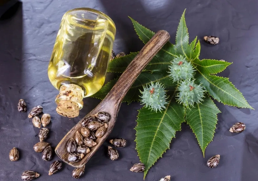 Olej Rycynowy naturalny 5000 ml