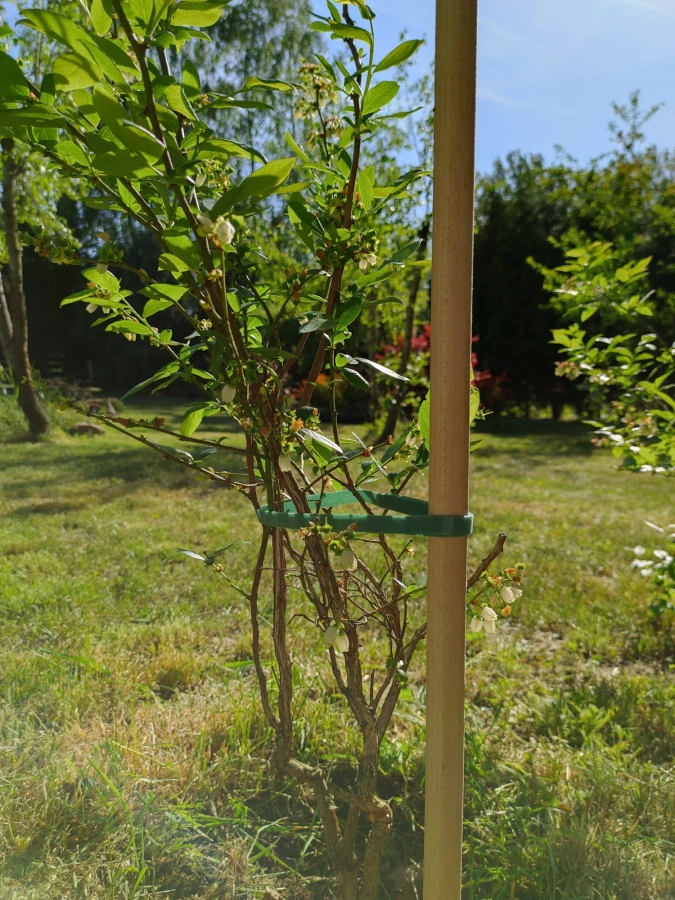 Rzep opaska ogrodnicza do roślin regulowana 50 cm
