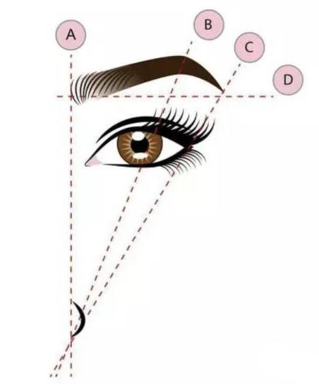 Miarka linijka do geometrii brwi 10 sztuk