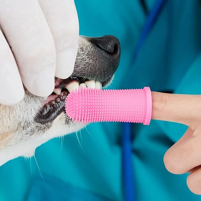 Silikonowa szczoteczka do mycia zębów dla psa i kota